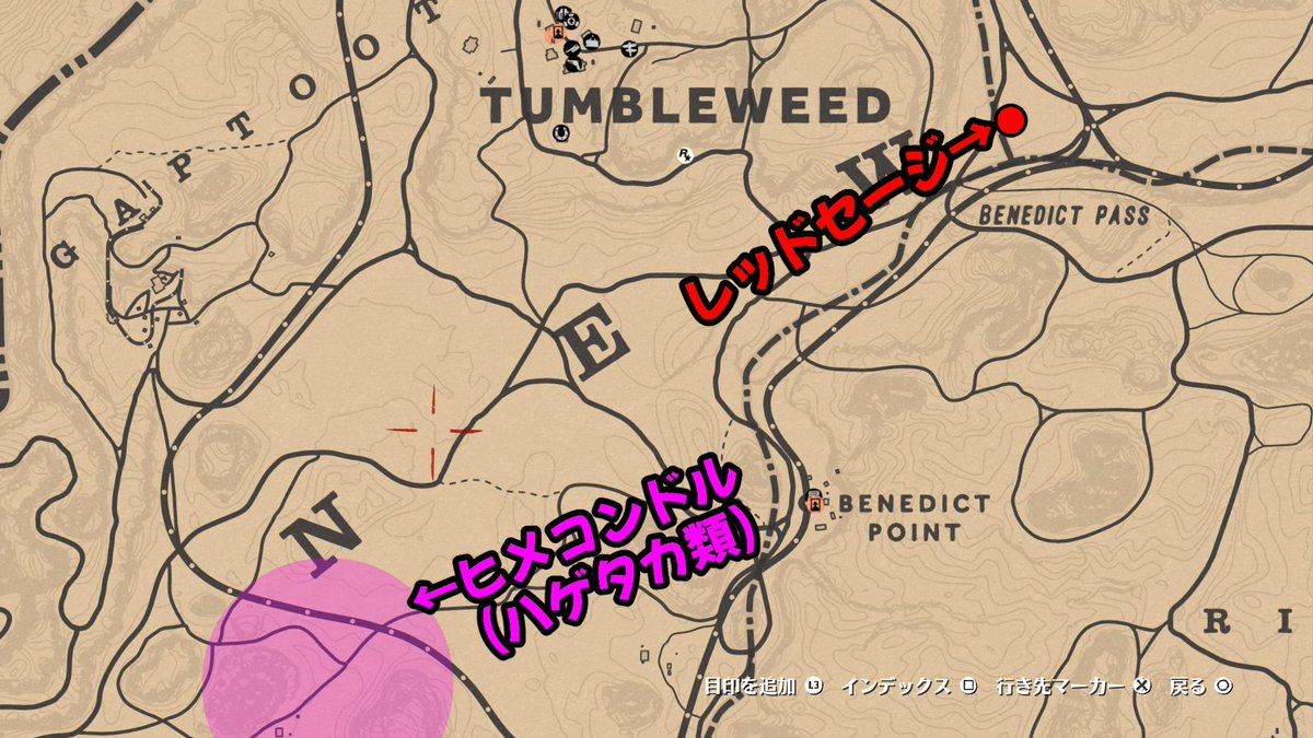 ひよのすけ בטוויטר 今日の挑戦スポット情報 本日はアルパイン種のヤギ ヒメコンドル レッドセージ メリノ種の羊 風味づけのワイルドミントです 収集物が多いですが頑張っていきましょう