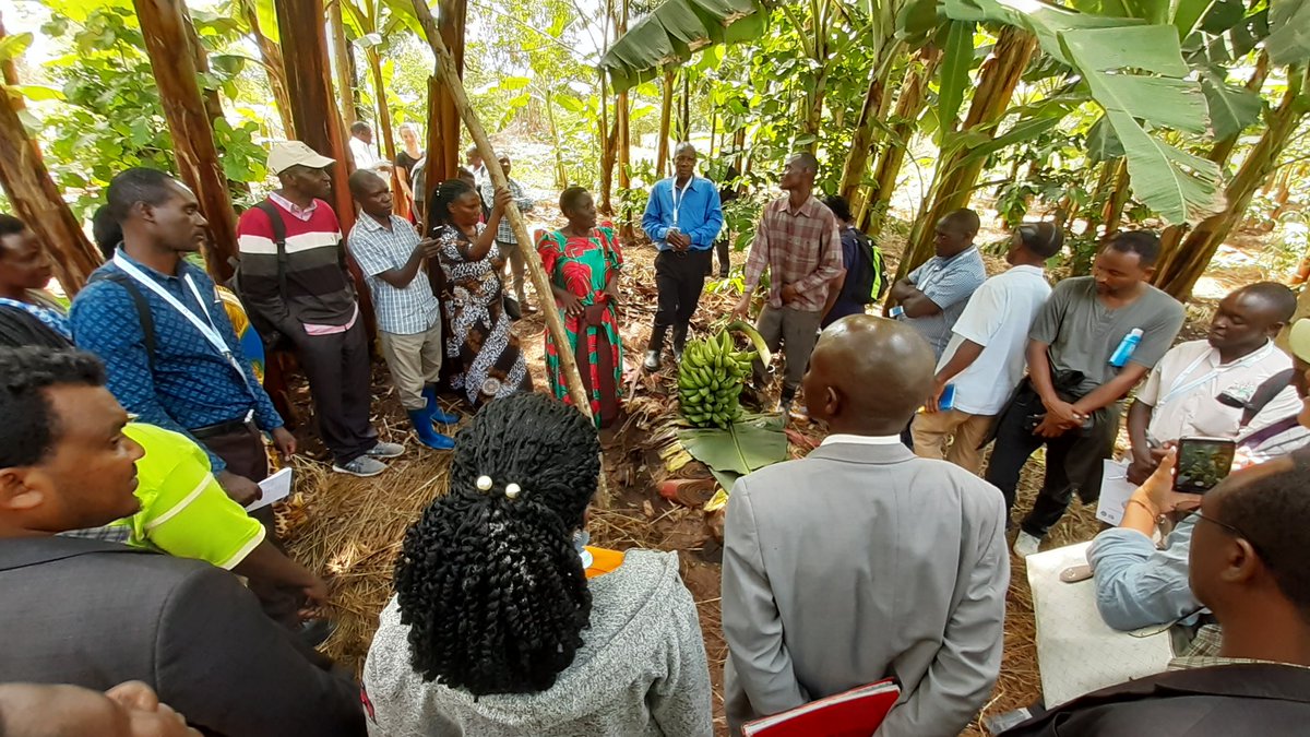 Day 3 of the <a href="/PARMinfo/">PARM</a> experience capitalization process: learning from those who know most about an experience #cap_exp <a href="/IFAD/">International Fund for Agricultural Development</a>