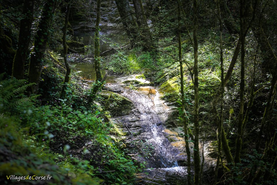 VillagesdeCorse's tweet photo. Pont Génois d'Alisu à Zalana
#Zalana #PontGénoisCorse #Alisu https://t.co/a5LdlyJuiH