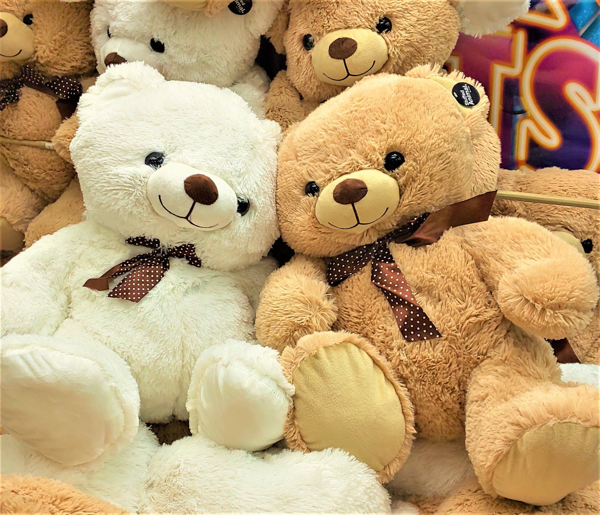 大きなホワイトクマのぬいぐるみ Amazon.co.jp: オーロラワールドぬいぐるみ ニューふわふわベア