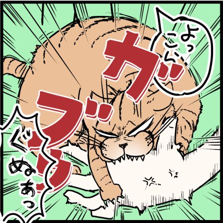 なぜこんなとこで・・・泣
#猫好きさんと繋がりたい 