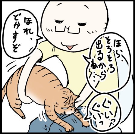 なぜこんなとこで・・・泣
#猫好きさんと繋がりたい 