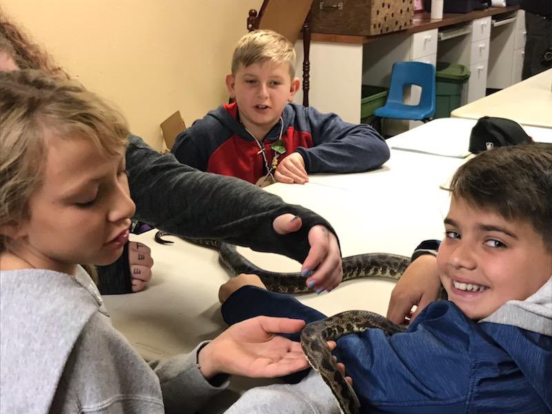 WOMSwolverines's tweet photo. Last stop of the day, camp Angelos. Some of us were more excited than others to play with the boa 🐍 and observe the decaying raccoon. 🤢 #KidsDon’tCare @WOMSwolverines @greshamschools https://t.co/AUuMMpOgXv