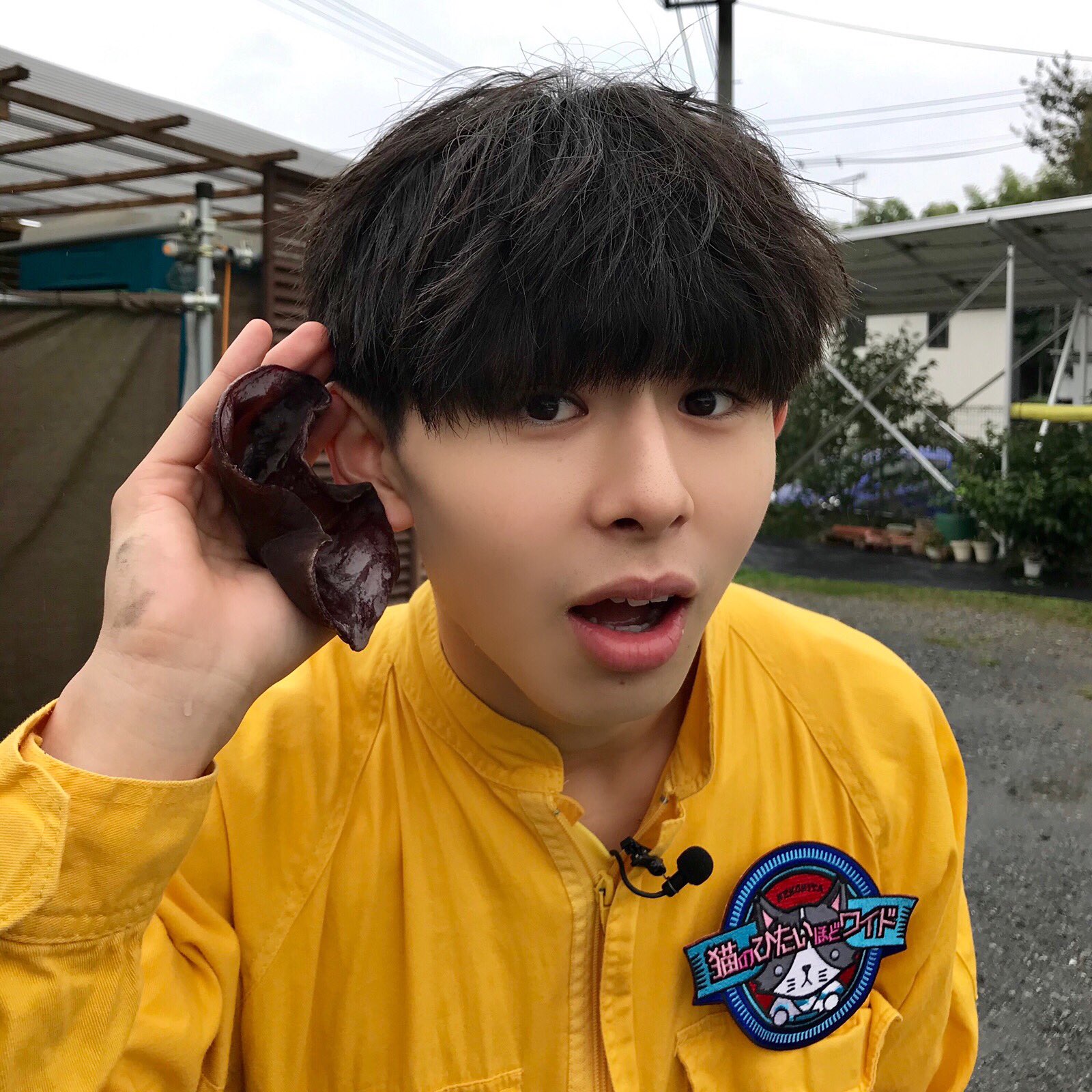 山下永玖　コンプセット　さとり少年団　ワンエン　生写真 バラ売り可☆さとり少年団 生写真 第1弾 EIKU 山下永玖 コンプ