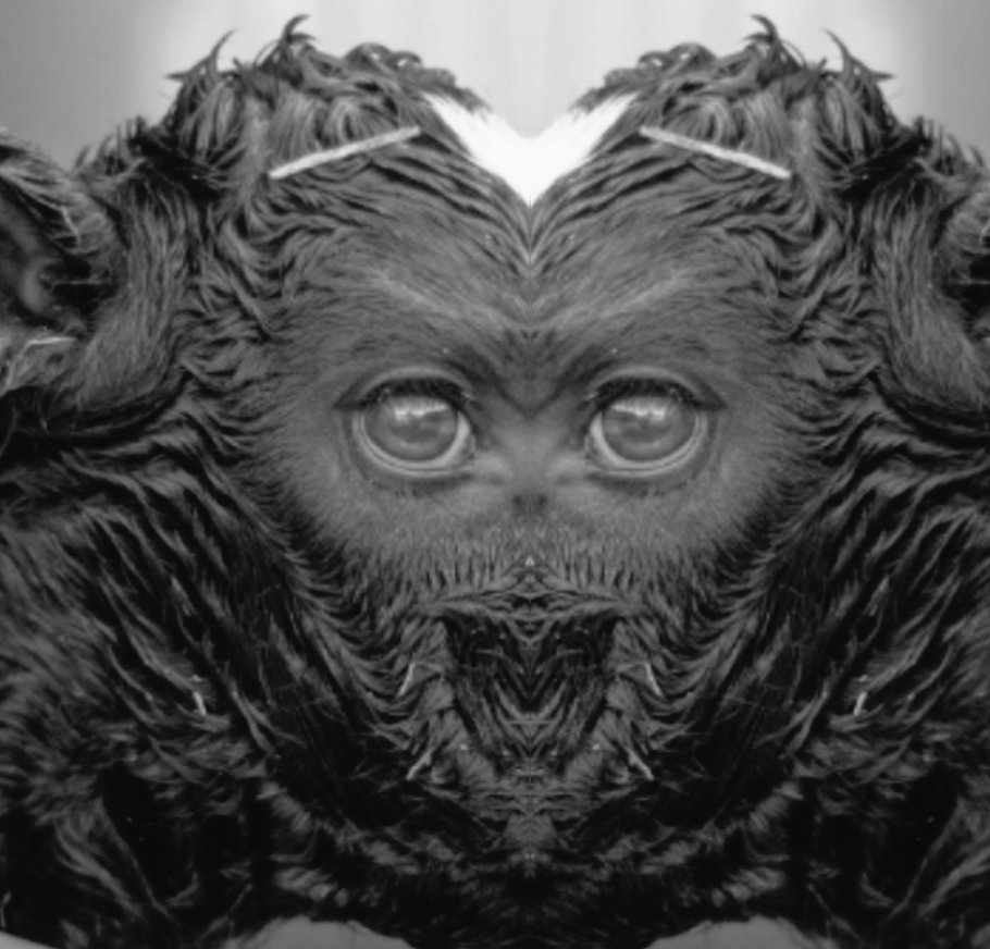 OccupyUN's tweet image. Anything nor everything aren&apos;t limited to possibilities!Telegram with and without a gram comes sometimes just after reloading #Kernals, come phly with us In the backdrop of the soul
among the halos,the            
tourmented Pigeons flying! 
&quot;It’s the time to
reveal all arrogance