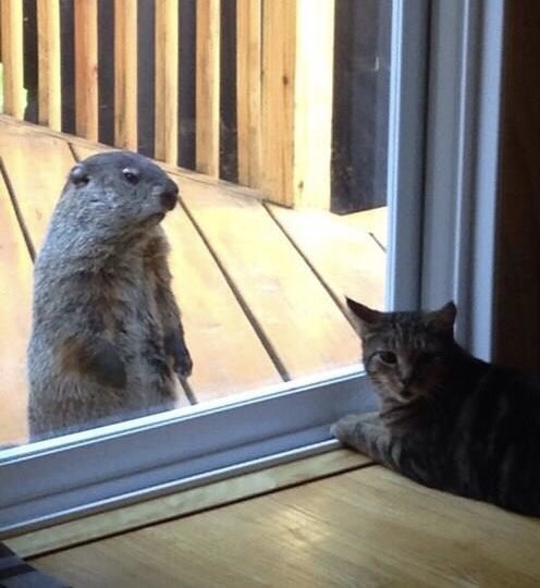 KatieMarmots's tweet photo. reunited with Carolina :) https://t.co/Vdwgr6IEar