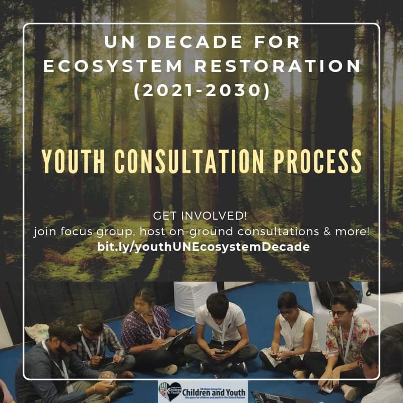 youngo_unfccc's tweet photo. Are you a #youth organisation working for the #environment? 🌍🌟

#DidyouKnow that 2021-2030 is @UN #Decade on #EcosystemRestoration 🌳🌳 ?

This is your chance to engage in #youth consultation &amp; advocate #ambitious policy changes! 

Inform @UNEnvironment and @FAO of #youthvoice! https://t.co/834iP8zjMJ