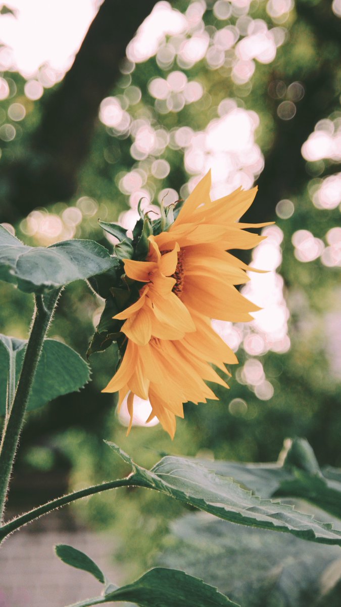 hhh0611 (@0hhh0611) on Twitter photo 