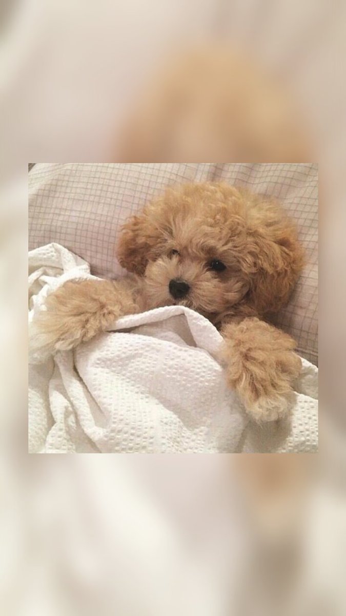 hhh0611 (@0hhh0611) on Twitter photo 