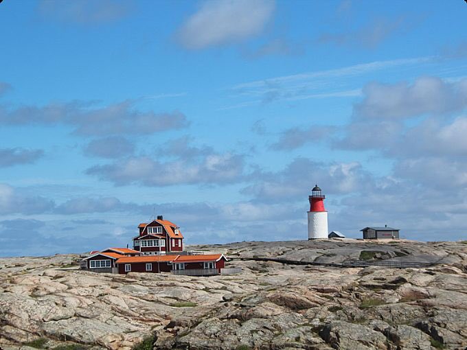 louise gehandler tweet media