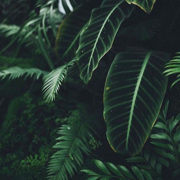 express_mrktng's tweet photo. BRAND BUILDING // Developing a brand identity is crucial in delivering a finished product that speaks to the brand’s core essence. Our services in brand development include profile development, business portfolio design, overall brand guidelines and everything in between. 🌿 https://t.co/5XEalnlVtA