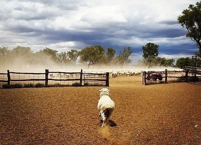 This time next week we will be wrapping up our conference! While I'm sure we'll all be ready for a breather we will still have the optional wrap-up dinner at the Palace Hotel to attend, which includes #DragQueen entertainment! 

Still time to register - bit.ly/2VtTOG4