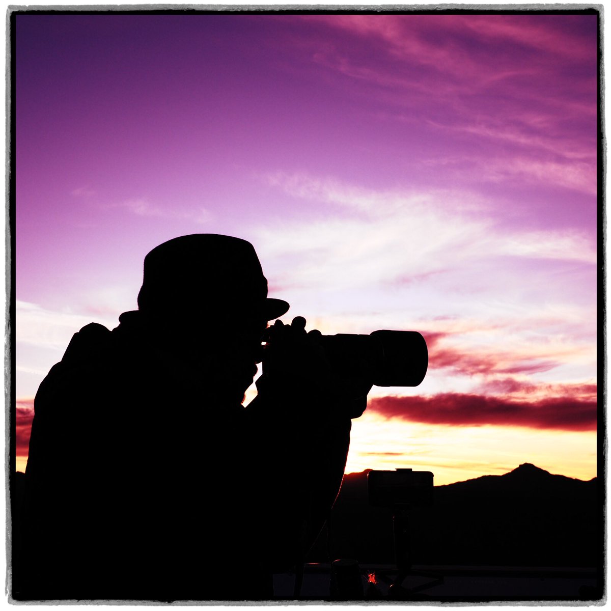 Mark Thackara tweet media