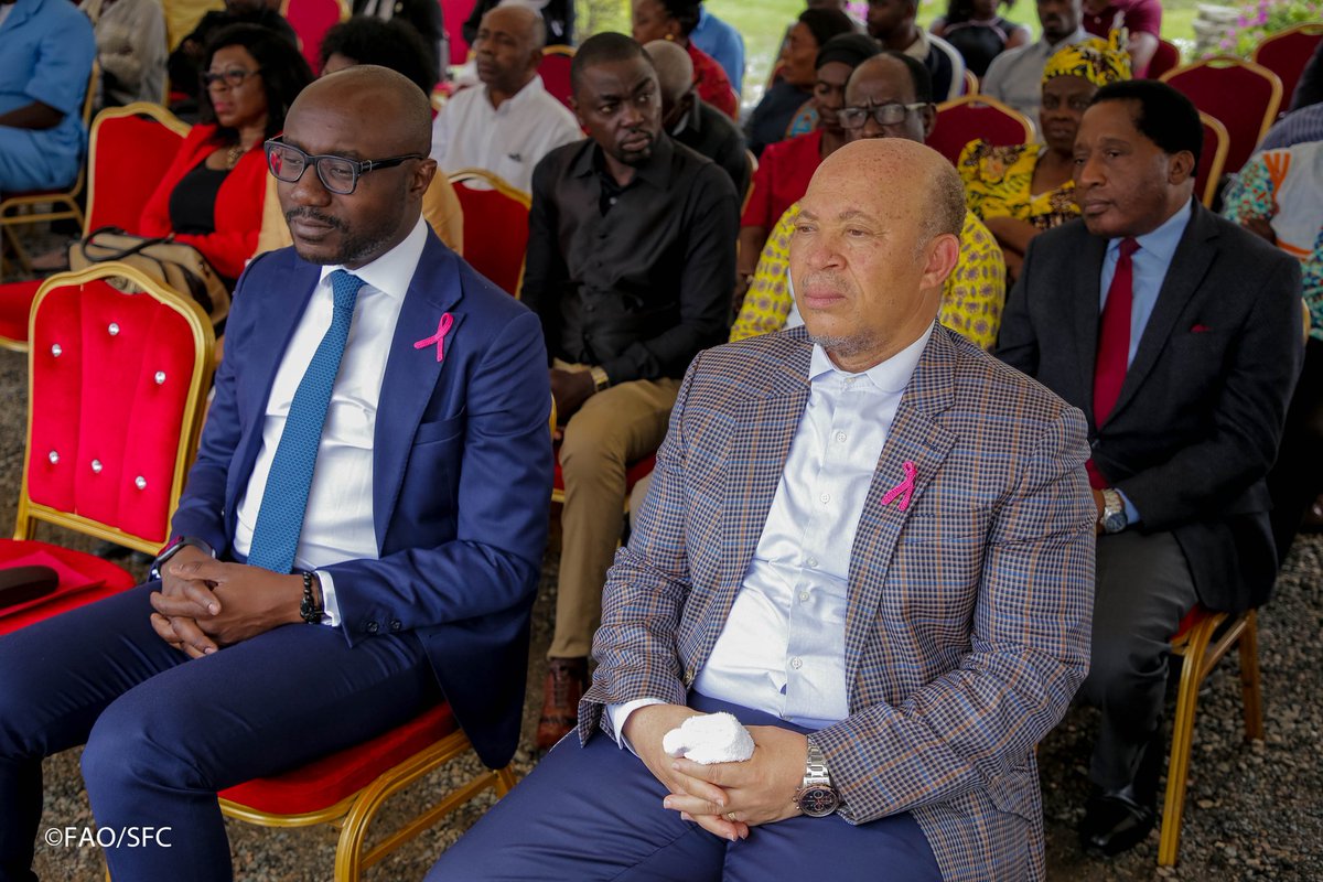FAO Afrique centrale tweet media