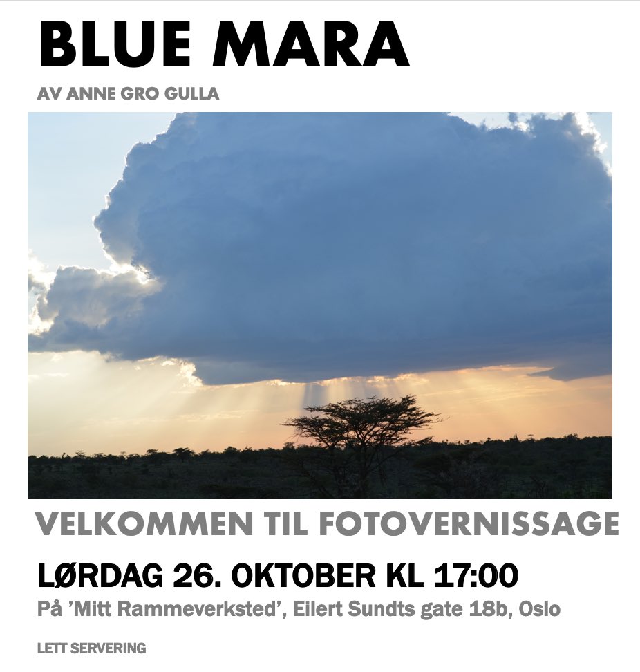 Come to photo vernissage in #Oslo to dream about the beauty of #masaimara #wildlife