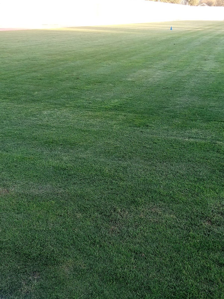 Por fín listo para vivir muchas alegrias este año!! Y esta tarde entreno para seguir preparado el partido ante <a href="/CD_Esquivias/">C.D. Esquivias</a>