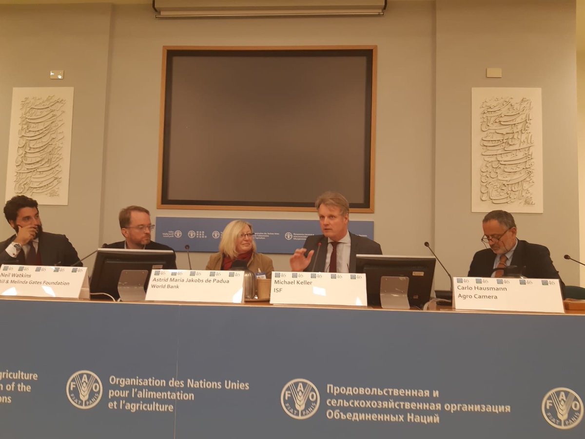 Luisa Volpe tweet media