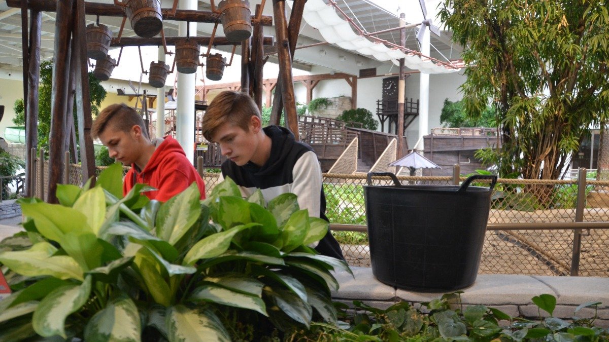 In het kader van YOUCA Action Day gaan 14 leerlingen aan de slag in #Bellewaerde 😃 Thibault, Thomas en Thibaut ondersteunen de groendienst in Bellewaerde Aquapark deze voormiddag 🌿Succes 👍 #youca19 <a href="/YOUCA_vzw/">YOUCA</a>