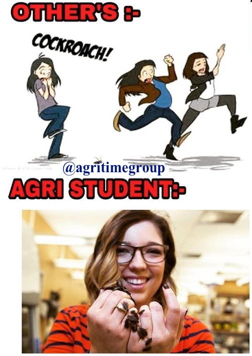 Agri Time : Learn Agriculture With Me (@agritimegroup) on Twitter photo #agritime #agritimegroup #agrifunny #agriculturefacts #agriculturejobs #agricultureimages #agriculturejokes #bscagriculture @agritimeweb <a href="/agritimegroup/">Agri Time : Learn Agriculture With Me</a> #agritimeyoutube #agritime #agritimegroup #agrifunny #agriculturefacts #agriculturejobs #agricultureimages #agriculturejokes #bscagriculture @agritimeweb <a href="/agritimegroup/">Agri Time : Learn Agriculture With Me</a> #agritimeyoutube