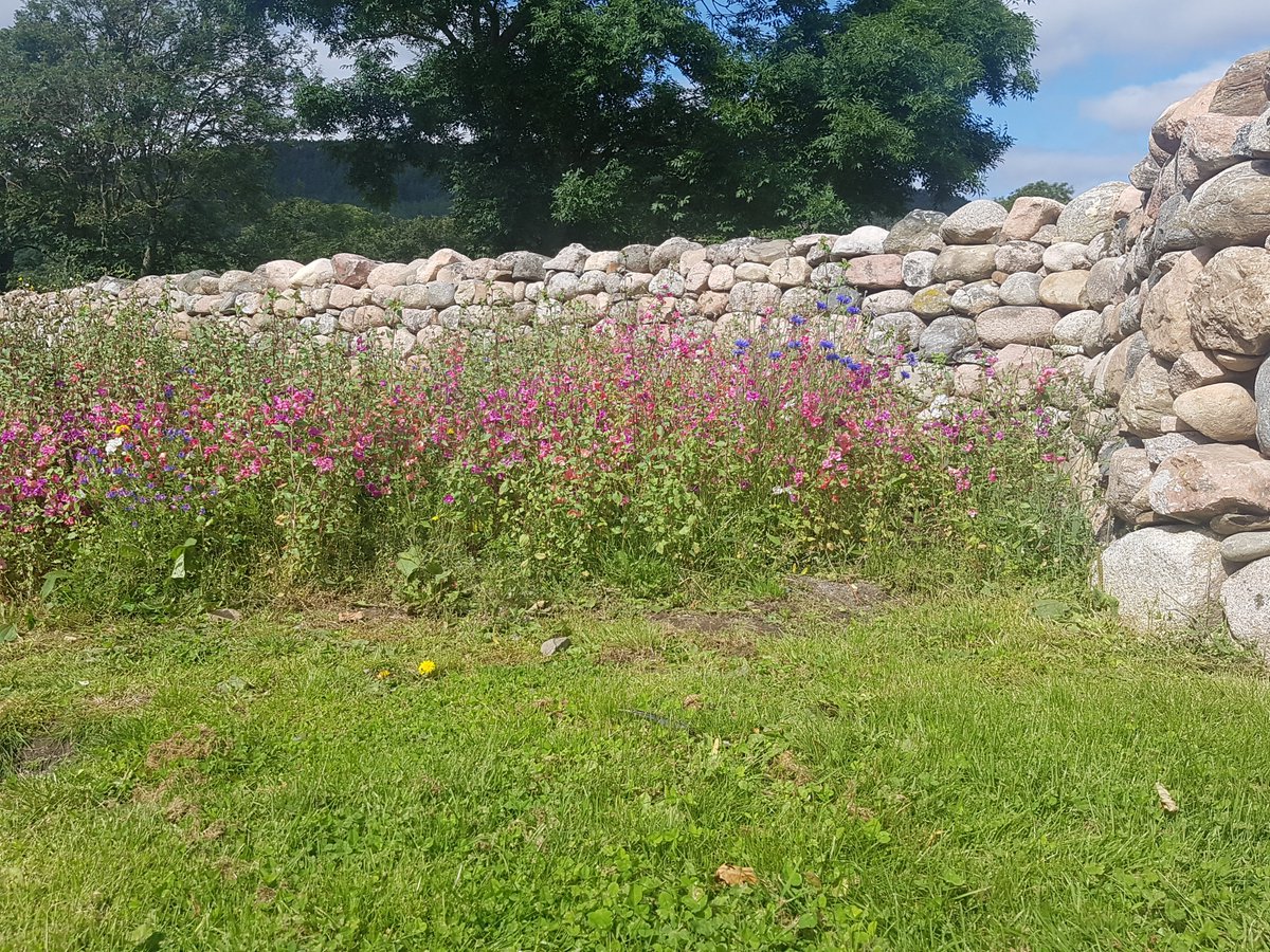 AberdeenshireArchitectureHeritage&Design tweet media