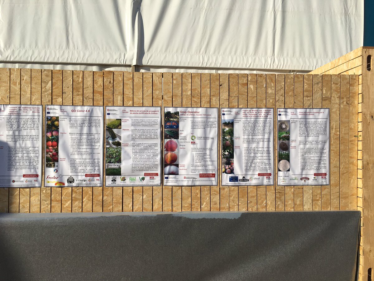 El sector de la fruita de Catalunya es molt innovador i prova d’aixo son els nombrosos projectes que impulsen el Grups Operatius que lideren les empreses del sector amb col.laboracio amb l’IRTA.
