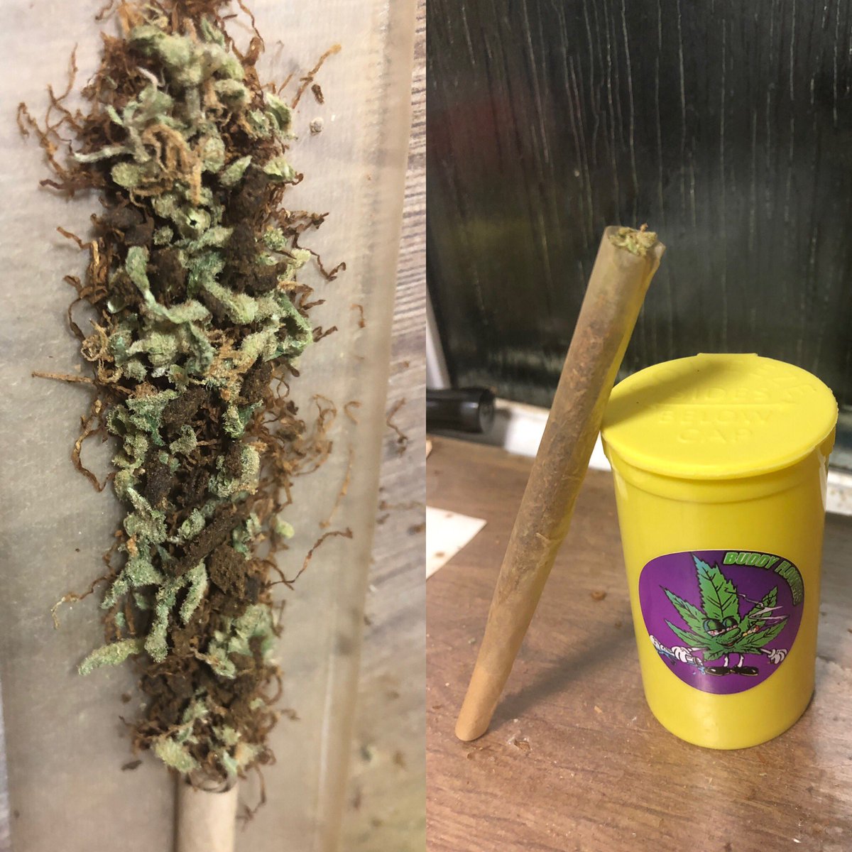 CannabisUK2's tweet photo. Good Morning! What’s everyone blazing today? #weedlovers #cannabisuk #cannabiscommunity   #weedstagram #mangokush #dutchhaze https://t.co/9vBvrhufCX