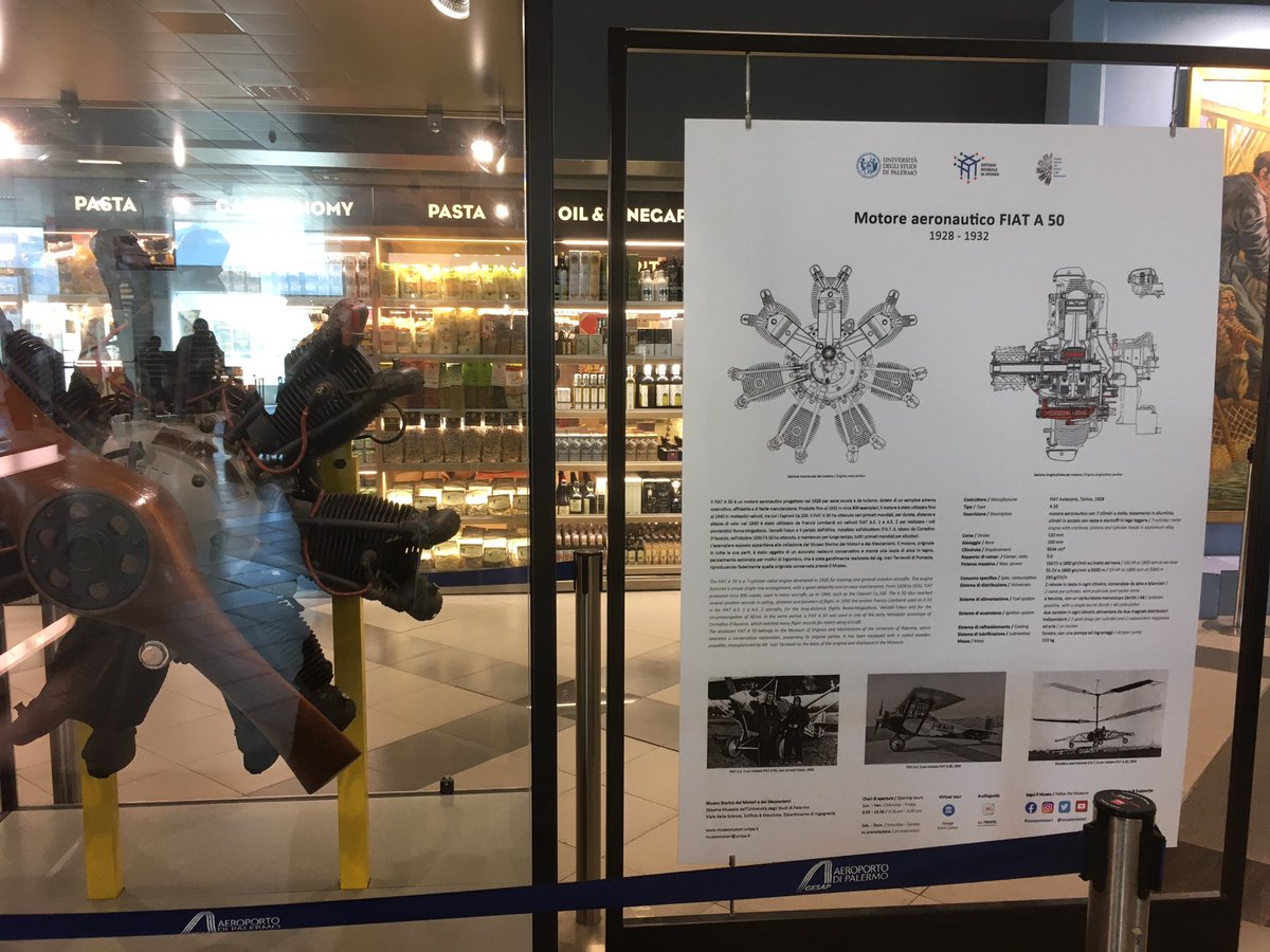 Andrea Intg. tweet media