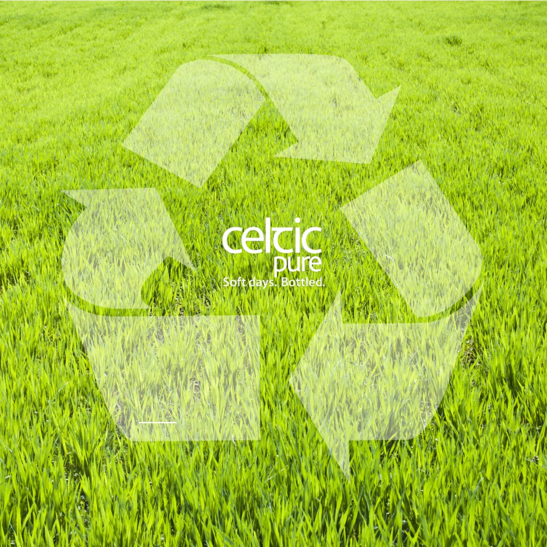 Celtic Pure tweet media