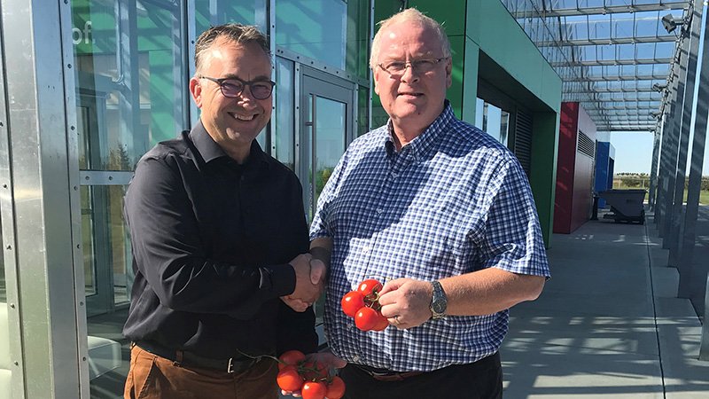 EMINENT SEEDS PARTNERS WITH VINELAND IN QUEST TO BRING CONSUMERS TASTY ONTARIO TOMATOES

<a href="/agfnl/">AGF.nl</a> #partnership <a href="/hortidaily/">Horti Daily</a>
eminentseeds.nl/en-us/News/emi…