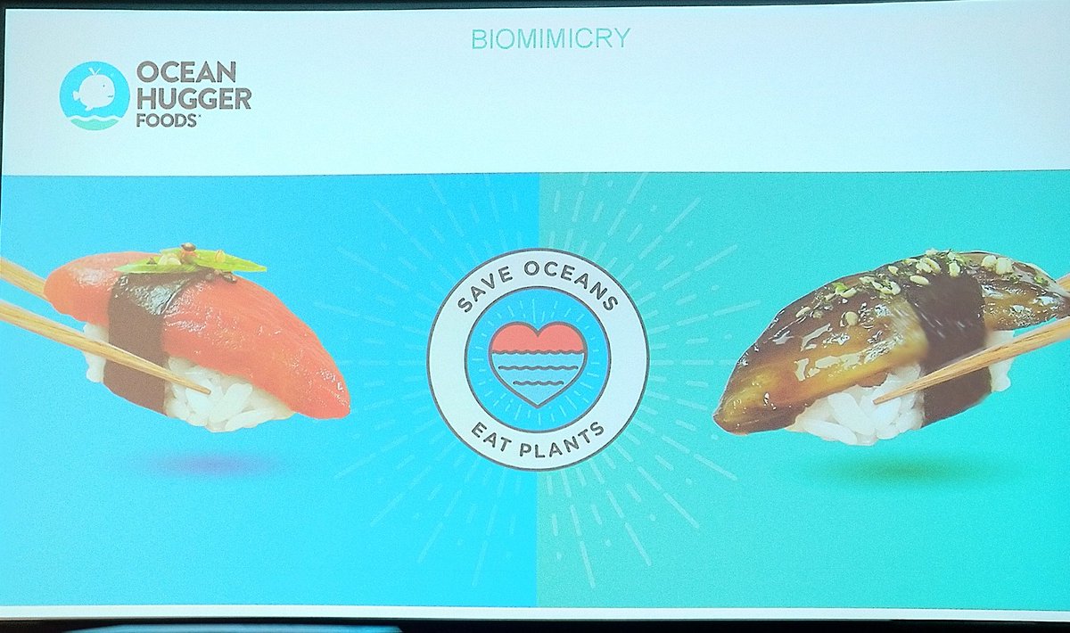 mariekelameris's tweet photo. Tuna? No, tomato! Ale? No eggplant! Is It perfect? No. But... It's DELICIOUS!! Taste is THE important factor in Food. #ChrisKerr CEO https://t.co/BuBirLSENI #foodvalleysummit theproteinplan(er) https://t.co/IGqOJlg9hP