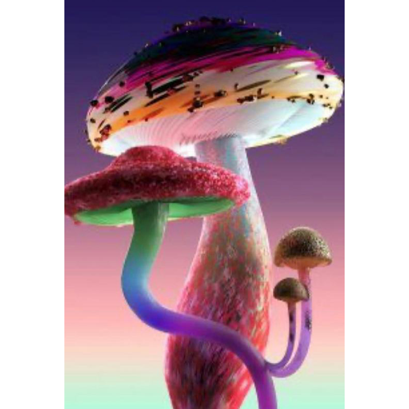 Eat your colours!

Visit our website to find out more!

qoo.ly/zzas3g

#chaga #chagamushroom #superfood #healing #vegans #whatveganseat #veganbreakfast #veganism #veganpower #veganlife #vegangirl #veganbodybuilding #recipes #recipeideas #healthyrecipes