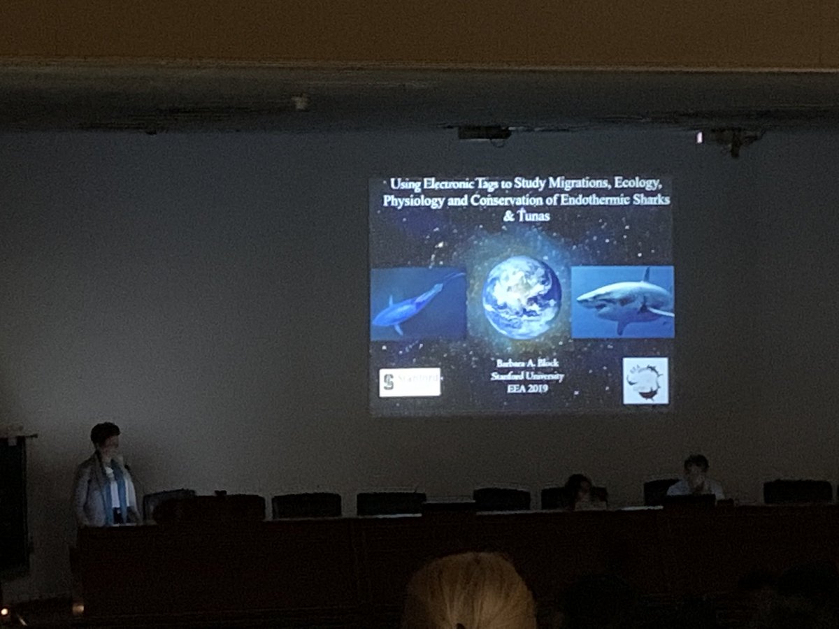 KjParton's tweet photo. “We live in the most exciting time for oceanography” - the biologging legend Barbara Block, with 40+ years of experience, talks us through the amazing data scientists have received from a wide range of electronic tags 🦈🐟 #EEA2019 #BlockEtAl https://t.co/YB7GGW4O7M