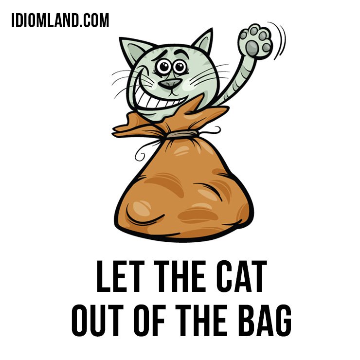 idiomland's tweet photo. Hello! Our #idiom of the day is “Let the cat out of the bag”, which means “to reveal a secret or a surprise by accident.”

#english #idioms #letthecatoutofthebag https://t.co/oXSevByn0N
