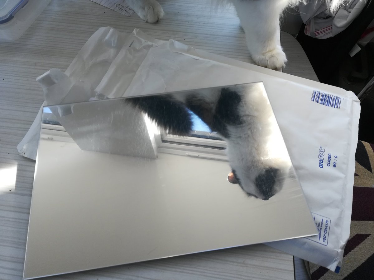 My plastic mirror has arrived!! £5 off ebay BARGIN!! Now for some mirror therapy! 💪🖐️🤛🤚👋
#handtherapy #mirrortherapy #mirror #brainplasticity #brainmapping #aneurysmsurvivor #strokesurvivor #BrainInjury