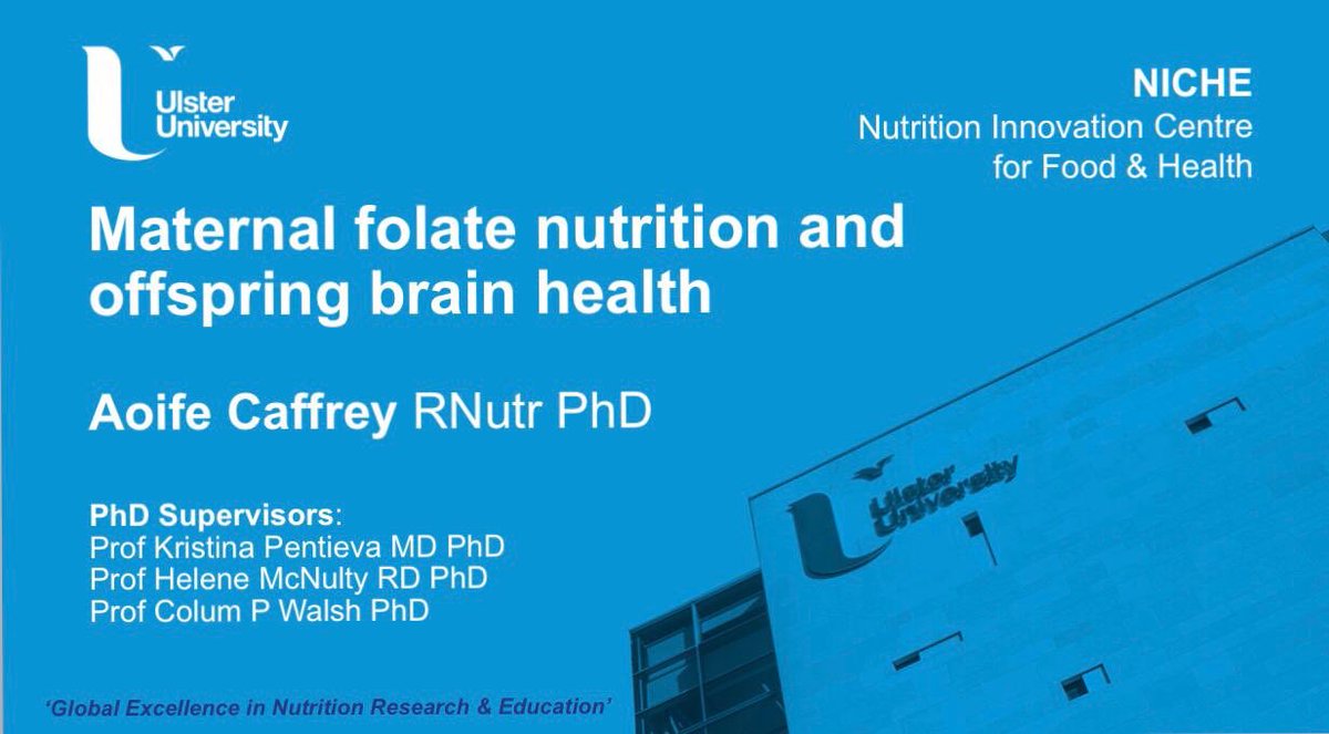 Dr Aoife Caffrey has been selected from applicants across Europe for the @DSM #BrightScience award for her #NICHEphd on Maternal Folate Nutrition and Offspring Brain Health 🤰🏻👶🏻🧠

I highly recommend attending this session at #FENS2019 
📍Wicklow Hall 2B
🕒 16.45 

@AoifeCaffrey_