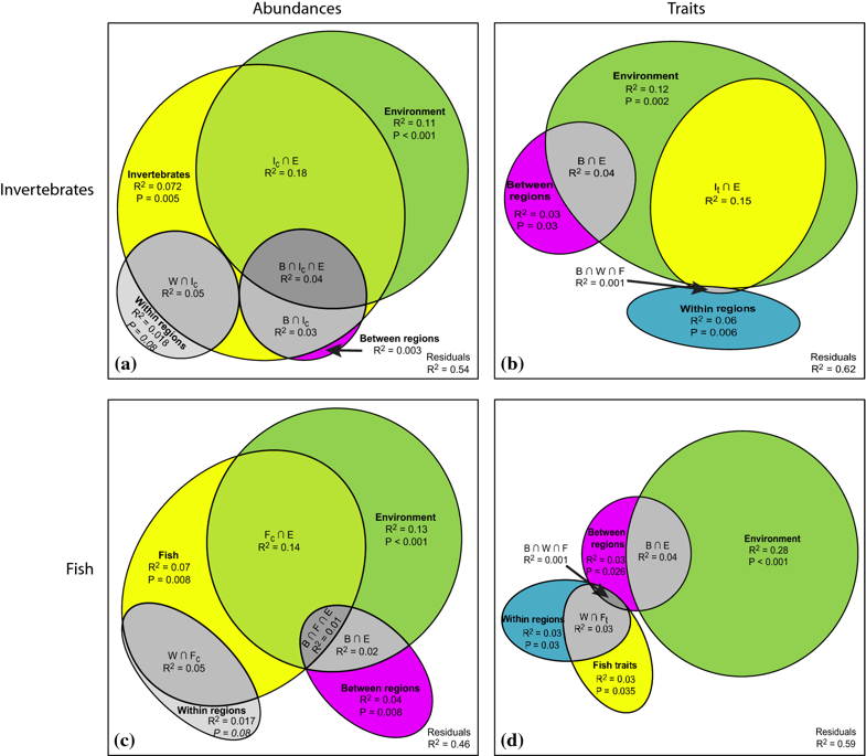 TMTSpringer's tweet photo. Partitioning spatial, environmental, and community drivers of ecosystem functioning https://t.co/kxXf8e8dTW is one of several #openaccess papers in the latest #LandscapeEcology issue #SNLAND #SpringerNature #communityecology #ecosystemprocesses https://t.co/1OcqyxxeP0