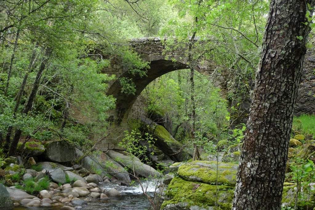 exploravia's tweet photo. ¿Qué planes tenéis para este #Otoño? 🎒 🍁 🍂 🍄
Por aquí os dejamos 5 #bosques ideales para desconectar al 100% y recargar vuestras pilas...
Mirad: https://t.co/mbqgbiduJ7
¿Nos recomendáis alguno más? 🧐
...
#Exploravia #appturismo #TurismoRural https://t.co/41GlL2Xdne