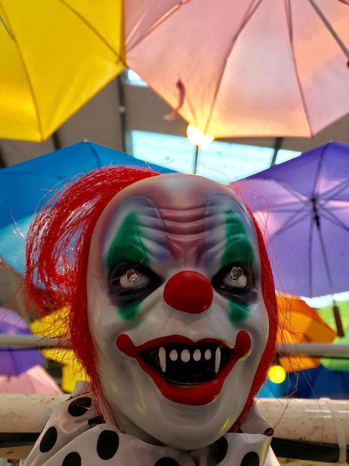 Planning a trip to Sligo over Hallowe'en or the Mid-term break? 👻🎃👻🎃👻🎃

⚡️Here's our guide to what's on from family fun to evening kayak paddles, trick or treats, zombie fun runs, live music and so much more!

👉🏻 bit.ly/SligoHWMT