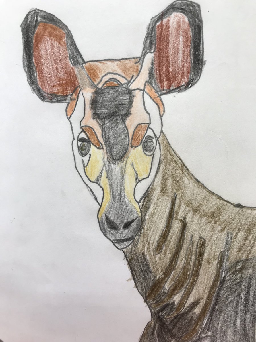 ArborInclusion's tweet photo. Did you know an Okapi’s tongue is between 14 and 18 inches? Thank you for inviting us to judge the art competition,  we learnt something new today! @ArborDubai @ArborEnviro https://t.co/rFgVP63a23