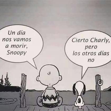 HambreCero's tweet photo. https://t.co/oQj0uF3bmU