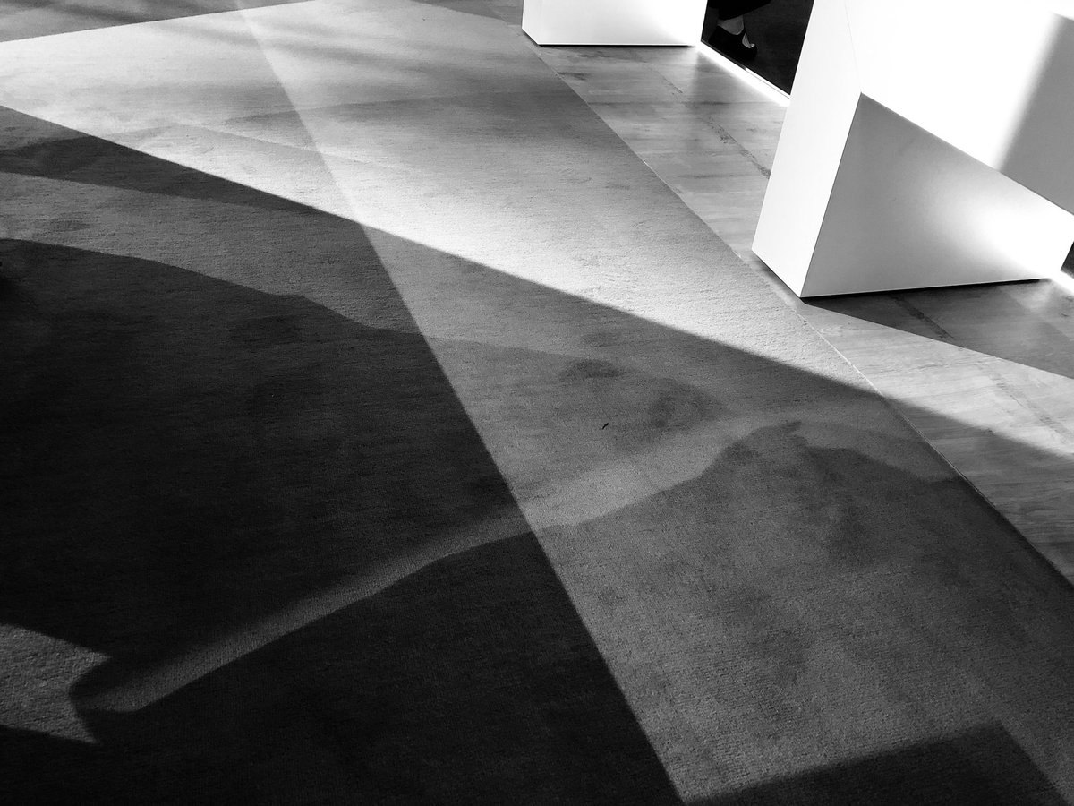 mad4len's tweet photo. Schattenspiel 
#blackandwhitephotography #buchmesse2019 https://t.co/pS02kb0GJd