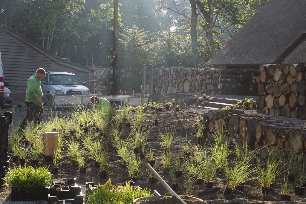 VOH_Appeltern's tweet photo. De finishing touch; het inzaaien en inplanten van deze natuurlijke tuin in Vught.
De beplanting sluit mooi aan bij het huis en omringende landschap. De bloemrijke graslandmengsels en bloembollen zorgen ervoor dat er jaarrond wat te genieten valt.

Nog wel even geduld hebben...! https://t.co/vIVkYGXMf9