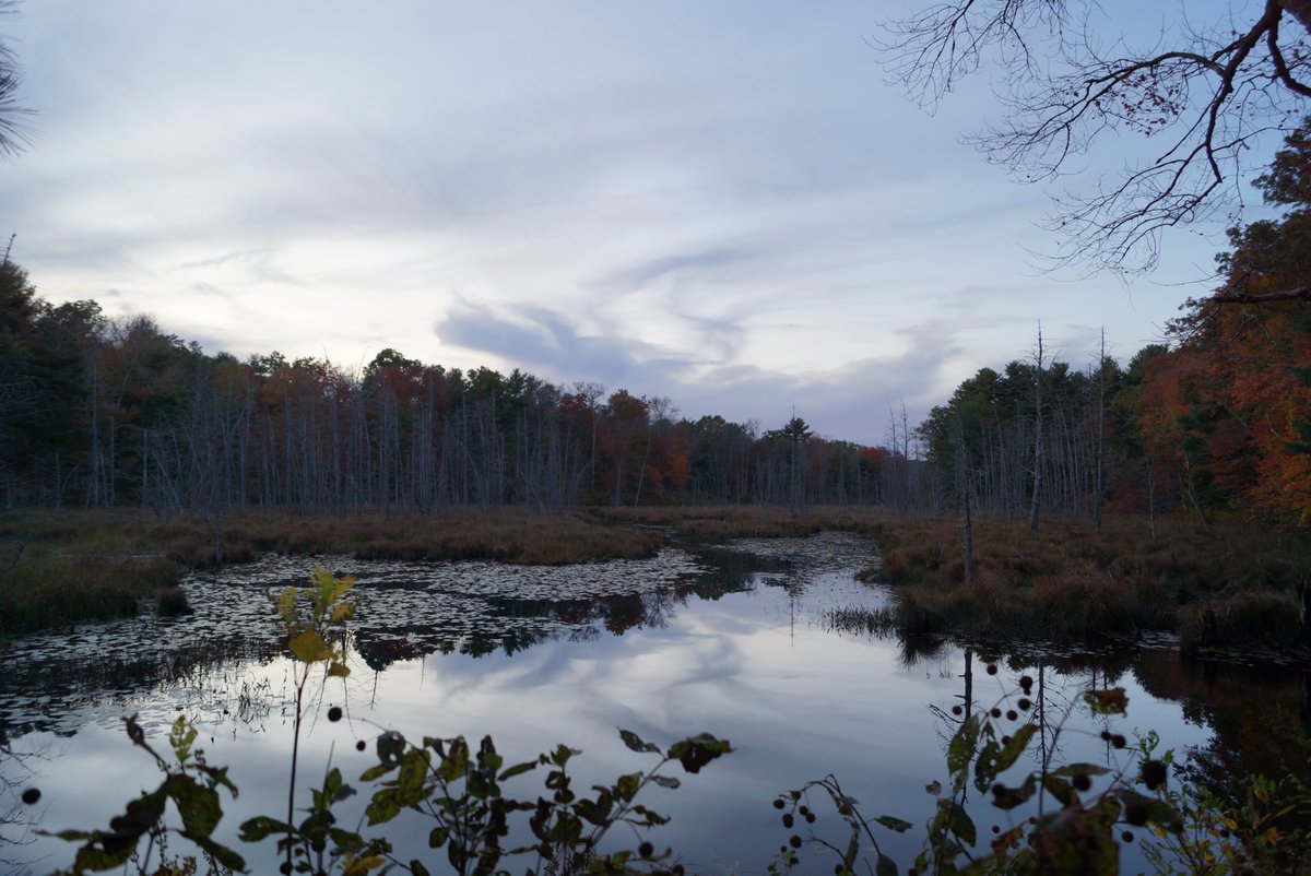 bri2367's tweet photo. @FOX61News @PachaugFriends @YawgoogTrails @CTwoodlands Edwards Pond on Mt. Misery Brook, Voluntown
13 October 2019 18:10
#share61 @FOX61News @PachaugFriends #SavePachaugForest @YawgoogTrails @CTwoodlands #autumn https://t.co/jBh2zULHOa