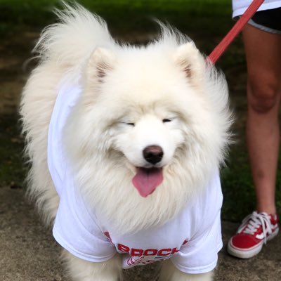 we_KAnT_stop_'s tweet photo. #NewProfilePic https://t.co/WwNQVAes0i