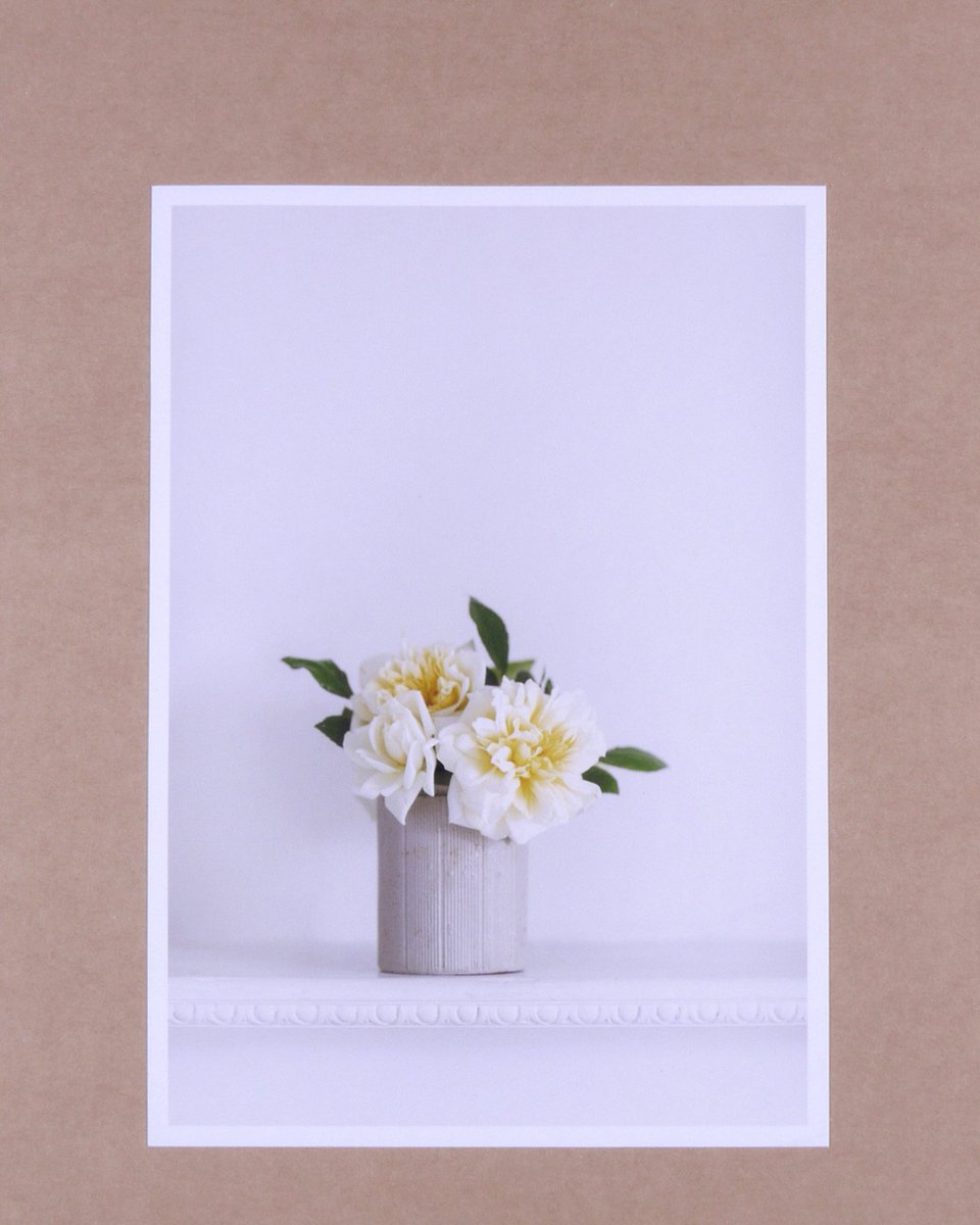 By Cathy Pyle

Printed on @awagami_factory Washi Bamboo

#flower #nature #summer #britain #stilllife #distractionsandinspirations #untoldvisuals #photography #stilllifephotography #giclee #giclee #print #awagami #bamboo #fineartprint #point101