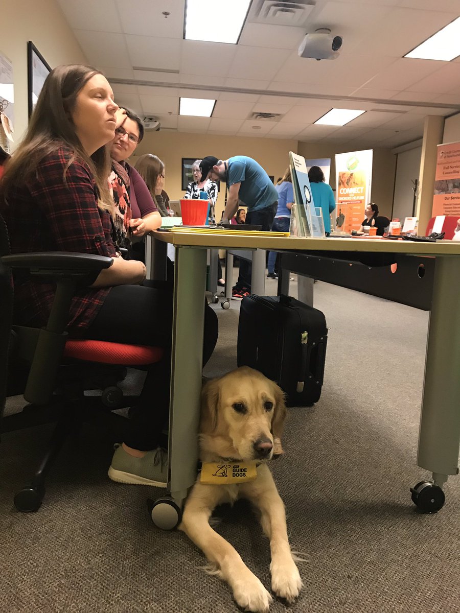 Pvanoates's tweet photo. #stresslessfest at work today. @CNIB was one of the organizations represented today. @LyndsaySkanes https://t.co/AGaJpbkjfn