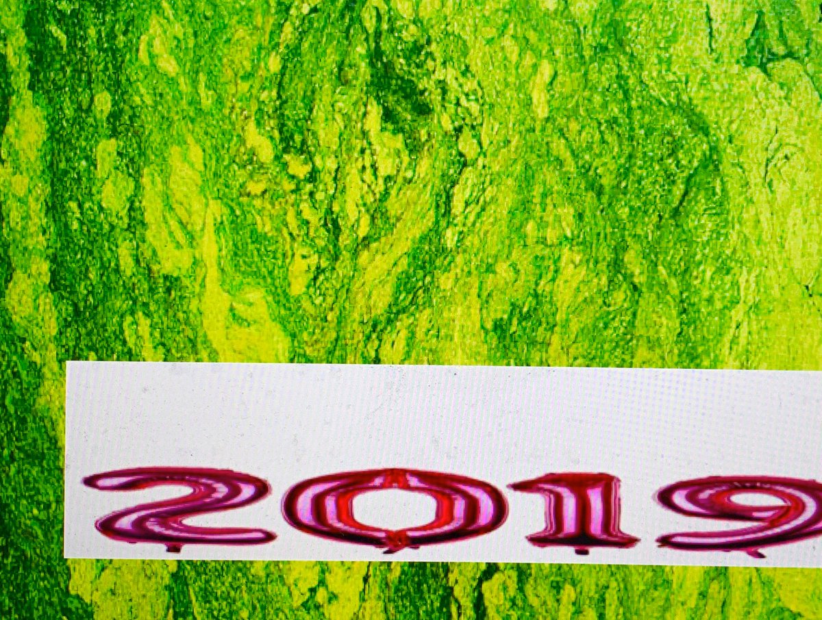 sixtimeusers's tweet image. RIGHT NOW ITS 2019