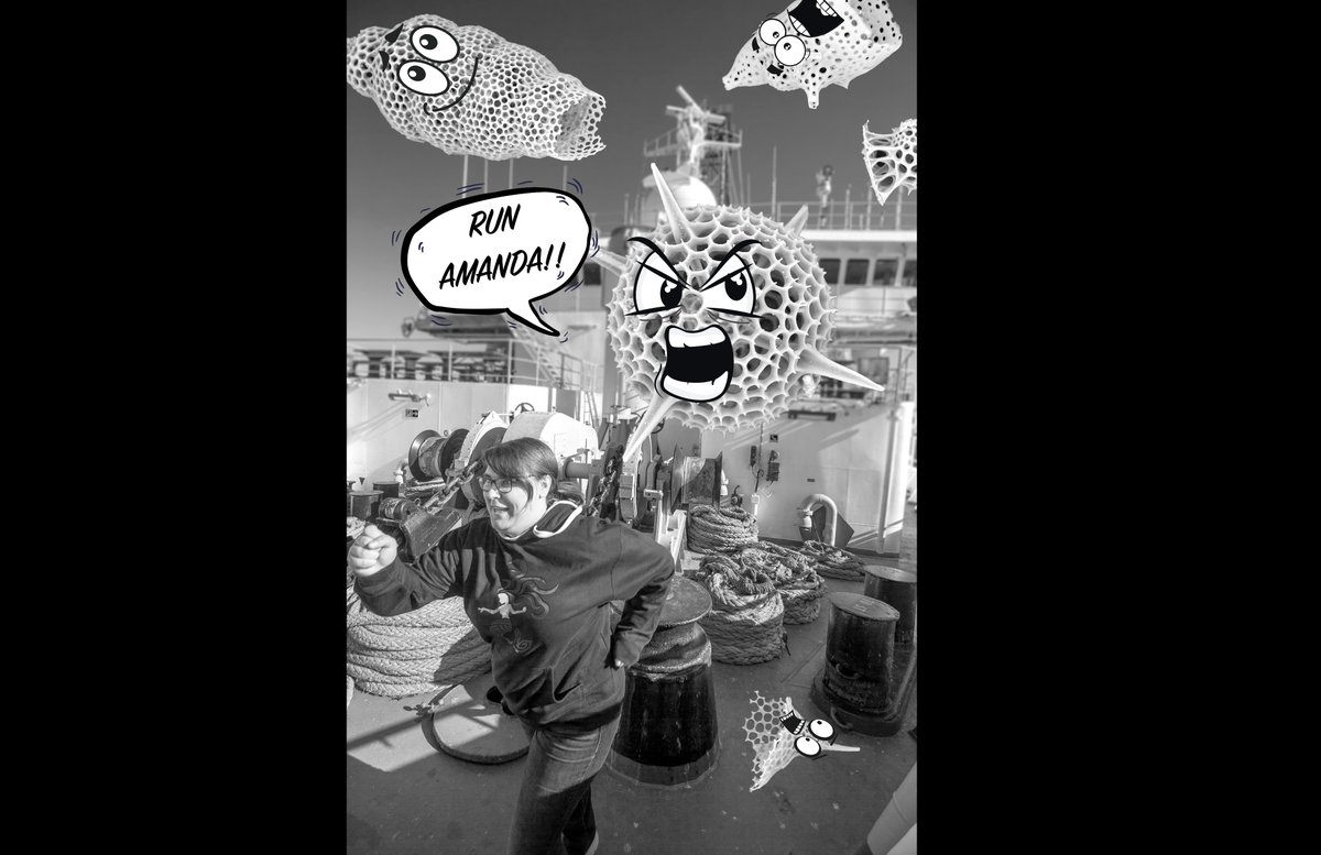 SarahKachovich's tweet photo. Happy #NationalFossilDay!
I love my job.
#JRAcademy #Exp385T #BoatDreams #TheJR #Radiolaria https://t.co/nrV0SbzOgJ