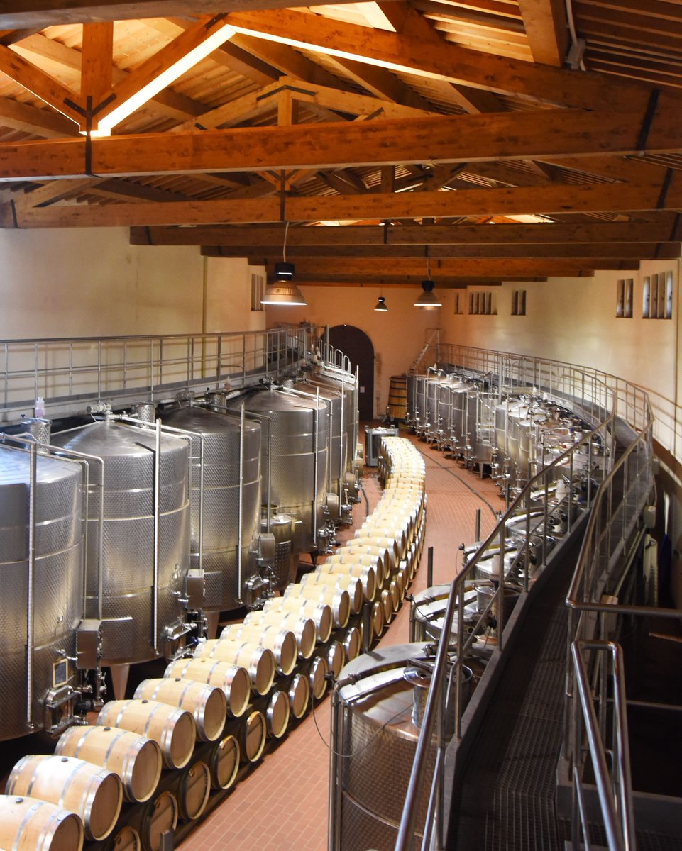 With harvest complete, our grapes have begun their journey into our state-of-the-art wine cellar 🍇