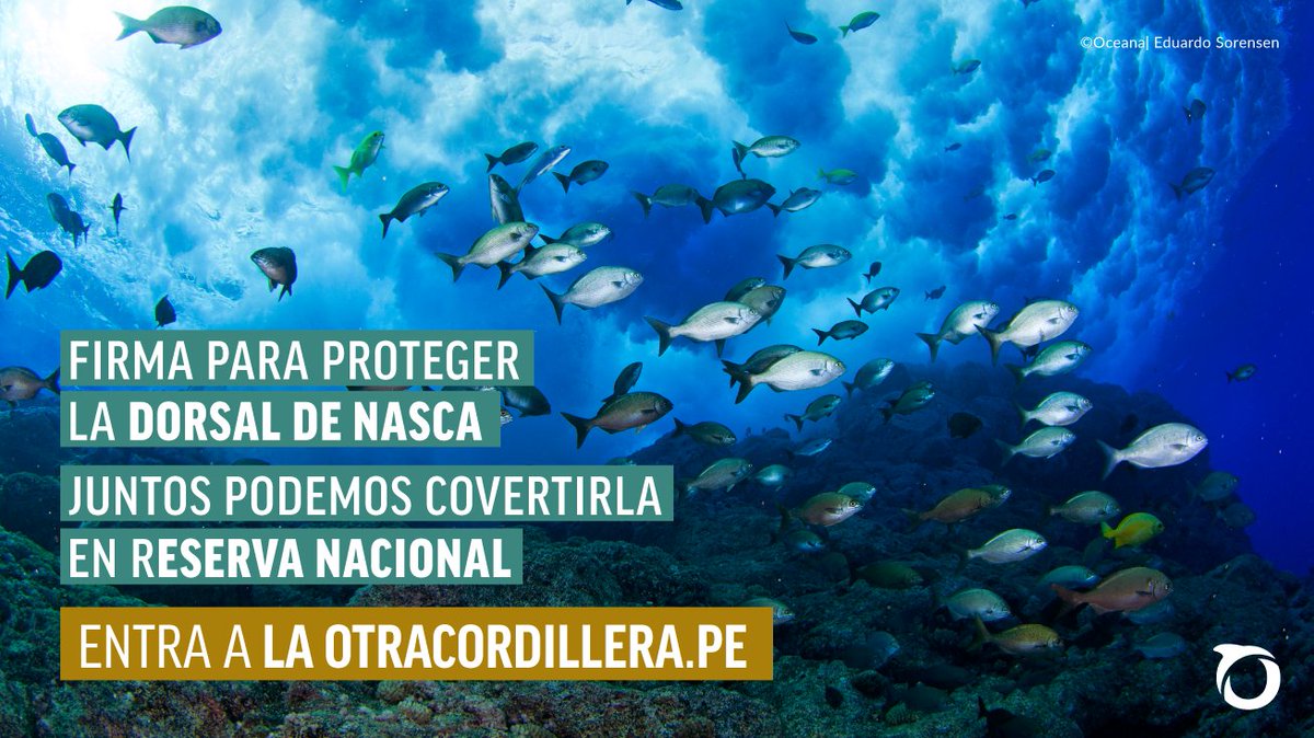 Apoya la creación de la Reserva Dorsal de Nasca en laotracordillera.pe